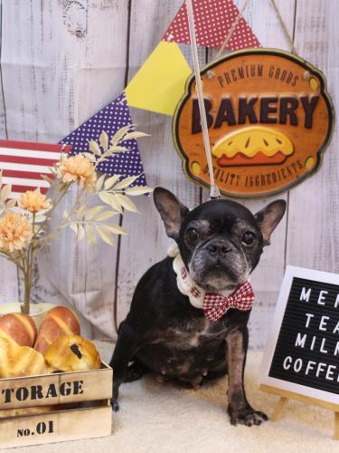 20240907さつきちゃん